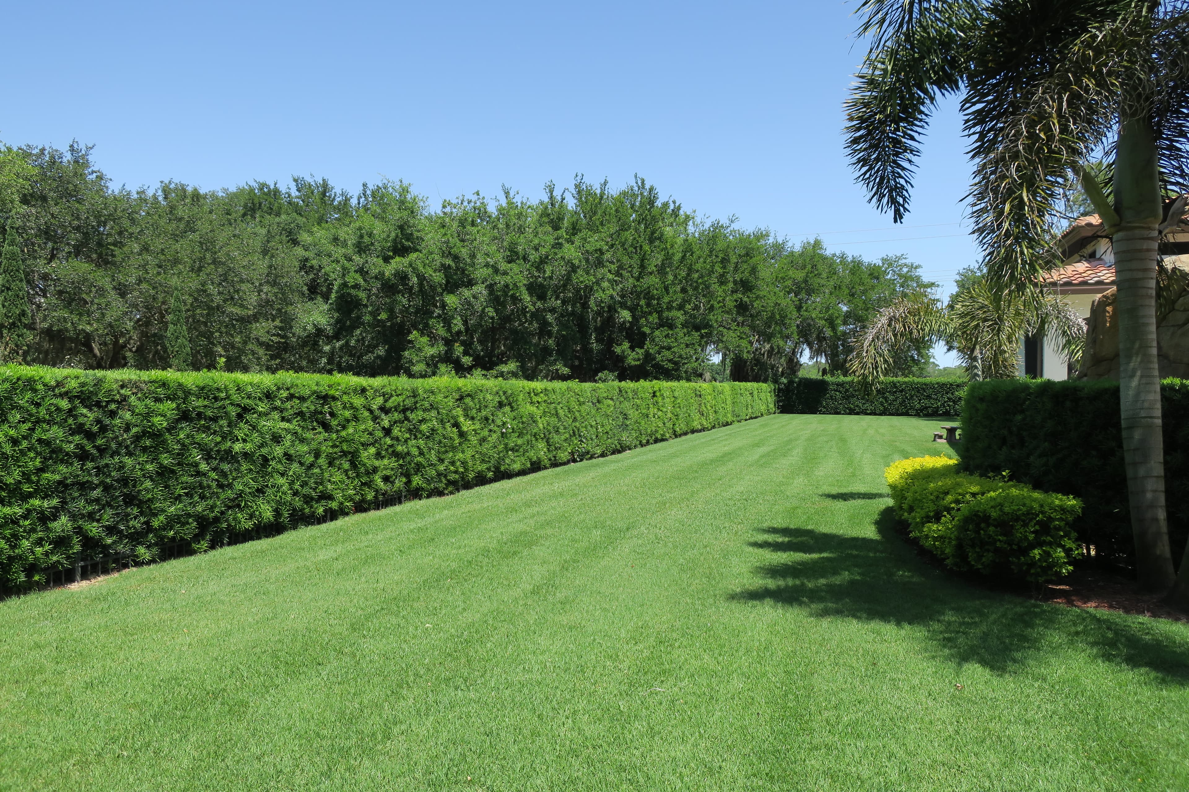 home with beautiful landscaping